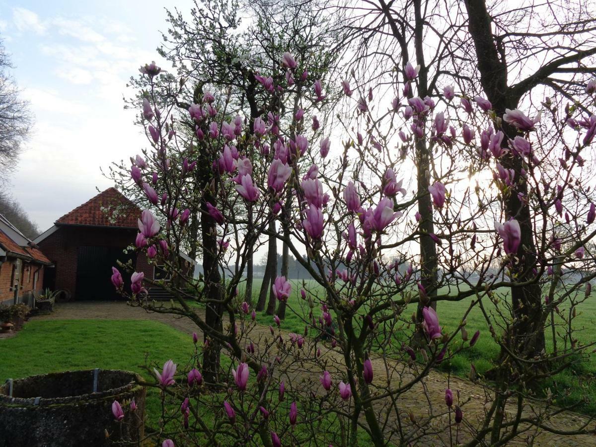 Thil'S Bed And Breakfast Ambt Delden Exterior photo